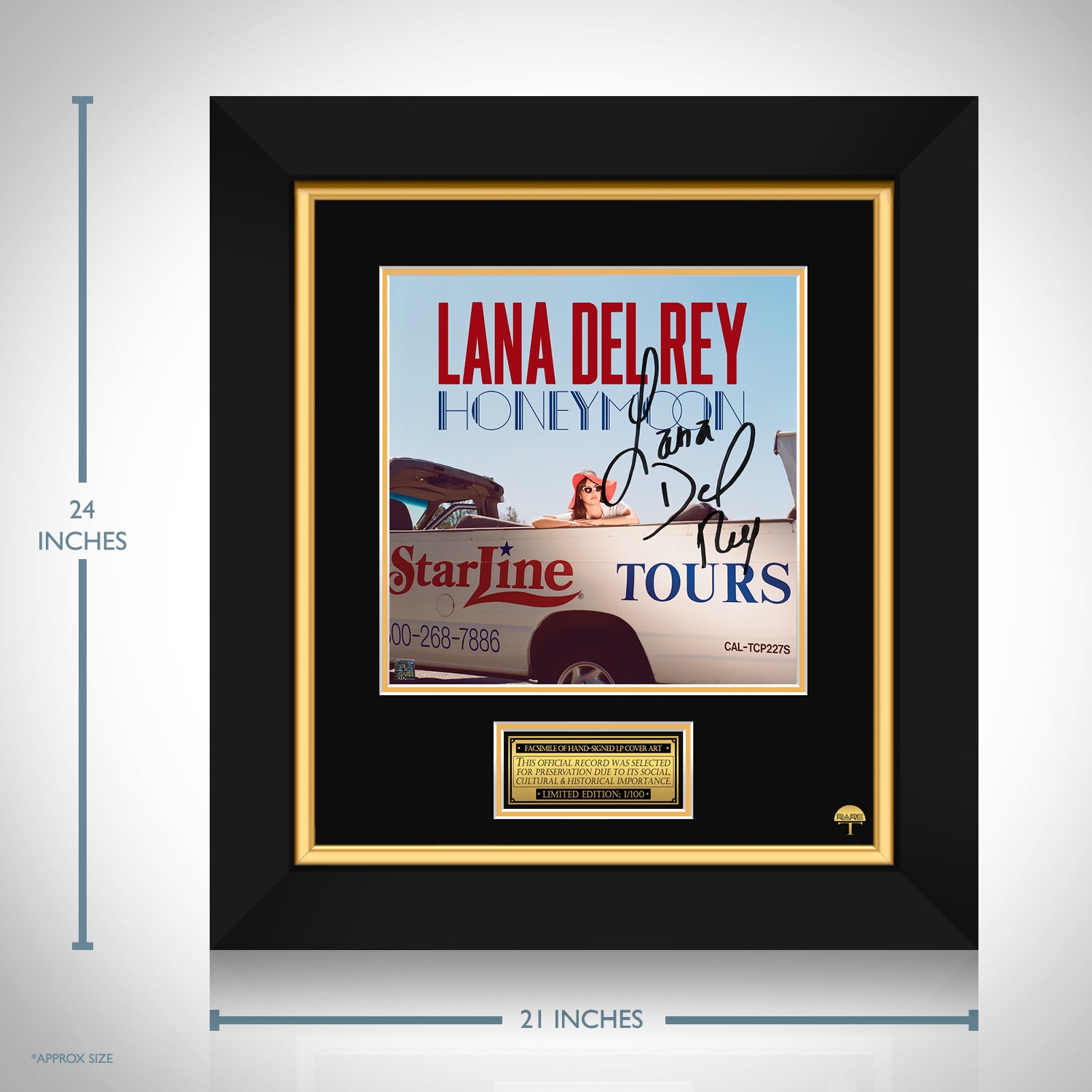 LANA DEL REY POSTER - DIFFERENT SIZES - FRAMED OPTION (ldr001)