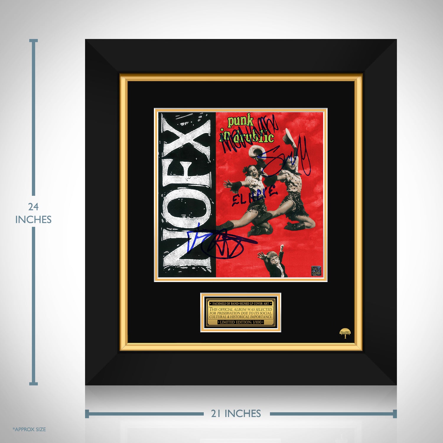 NOFX - Punk in Drublic LP Cover Limited Signature Edition Custom 