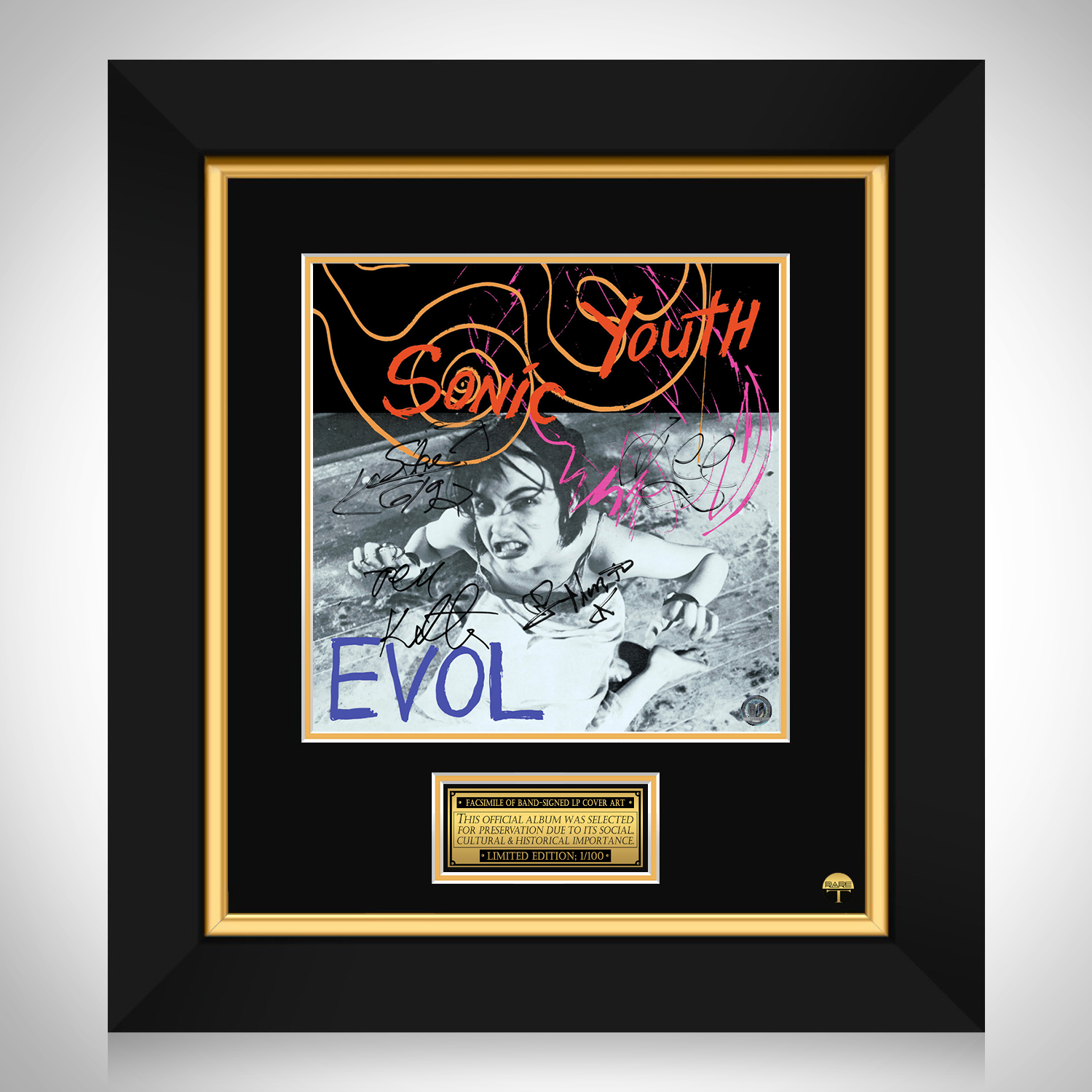 Sonic Youth - Evol LP Cover Limited Signature Edition Custom Frame | RARE-T