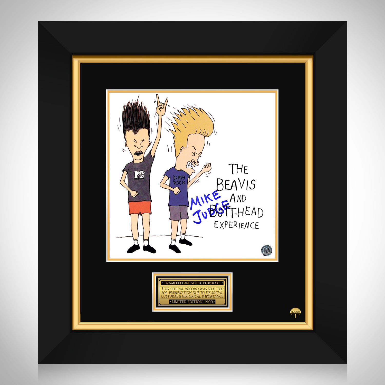 Beavis And Butthead - The Beavis & Butthead Experience LP Cover Limited ...