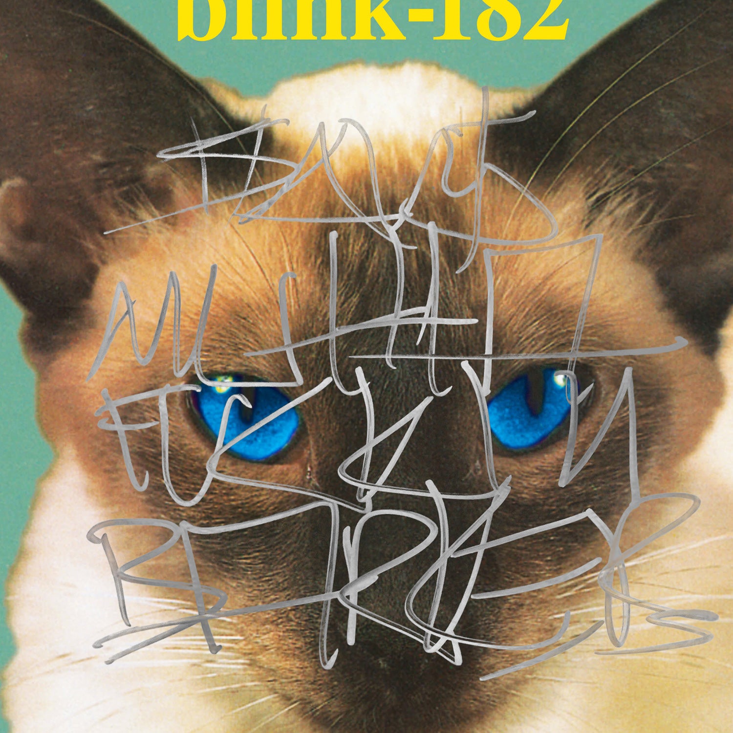 blink-182 cheshire cat レコード 商品一覧の通販 inspektorat