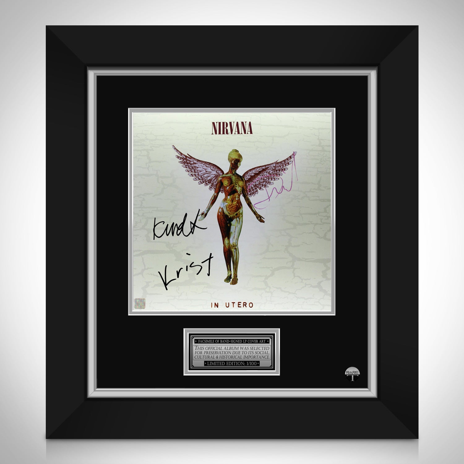 Nirvana In Utero LP Cover Limited Signature Edition Custom Frame