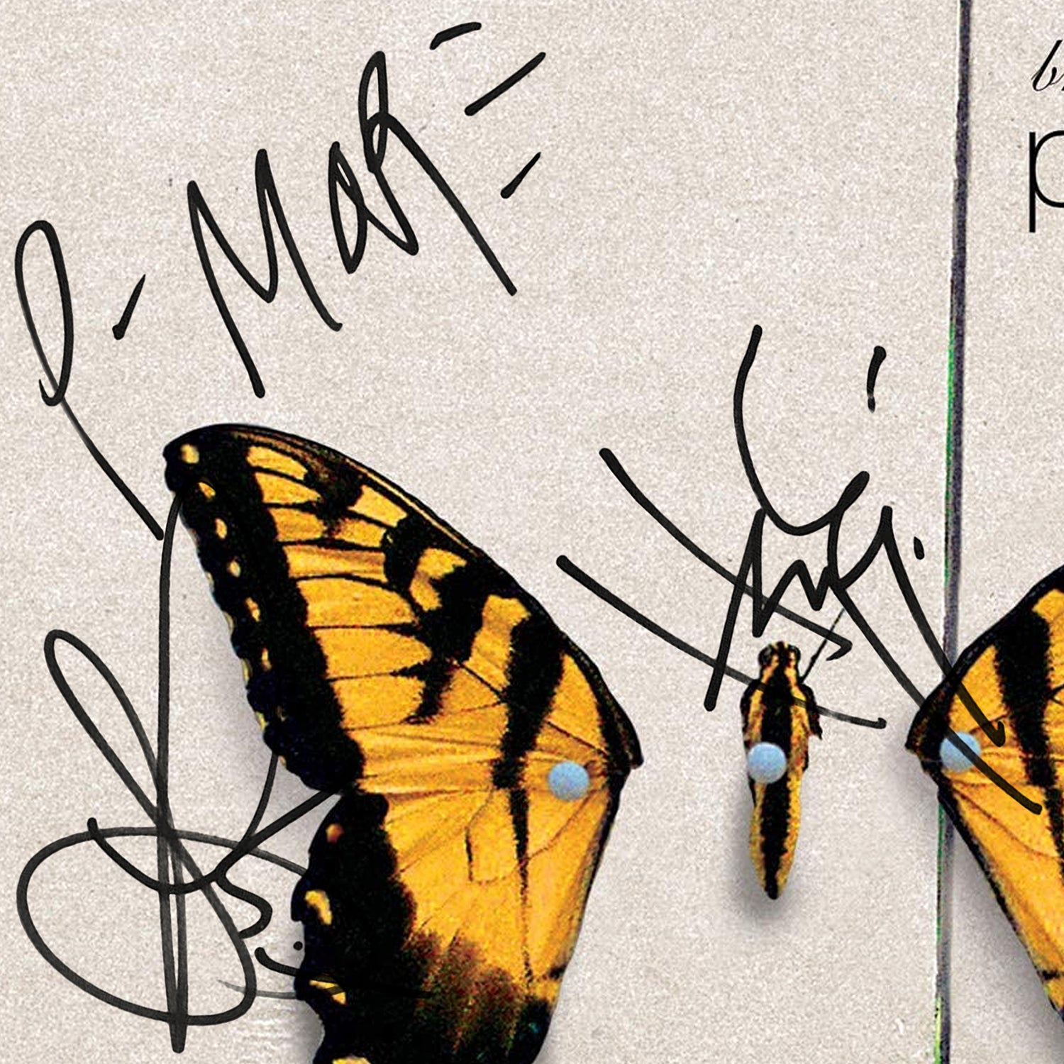 Buy Paramore : Brand New Eyes (LP, Album, RP) Online for a great