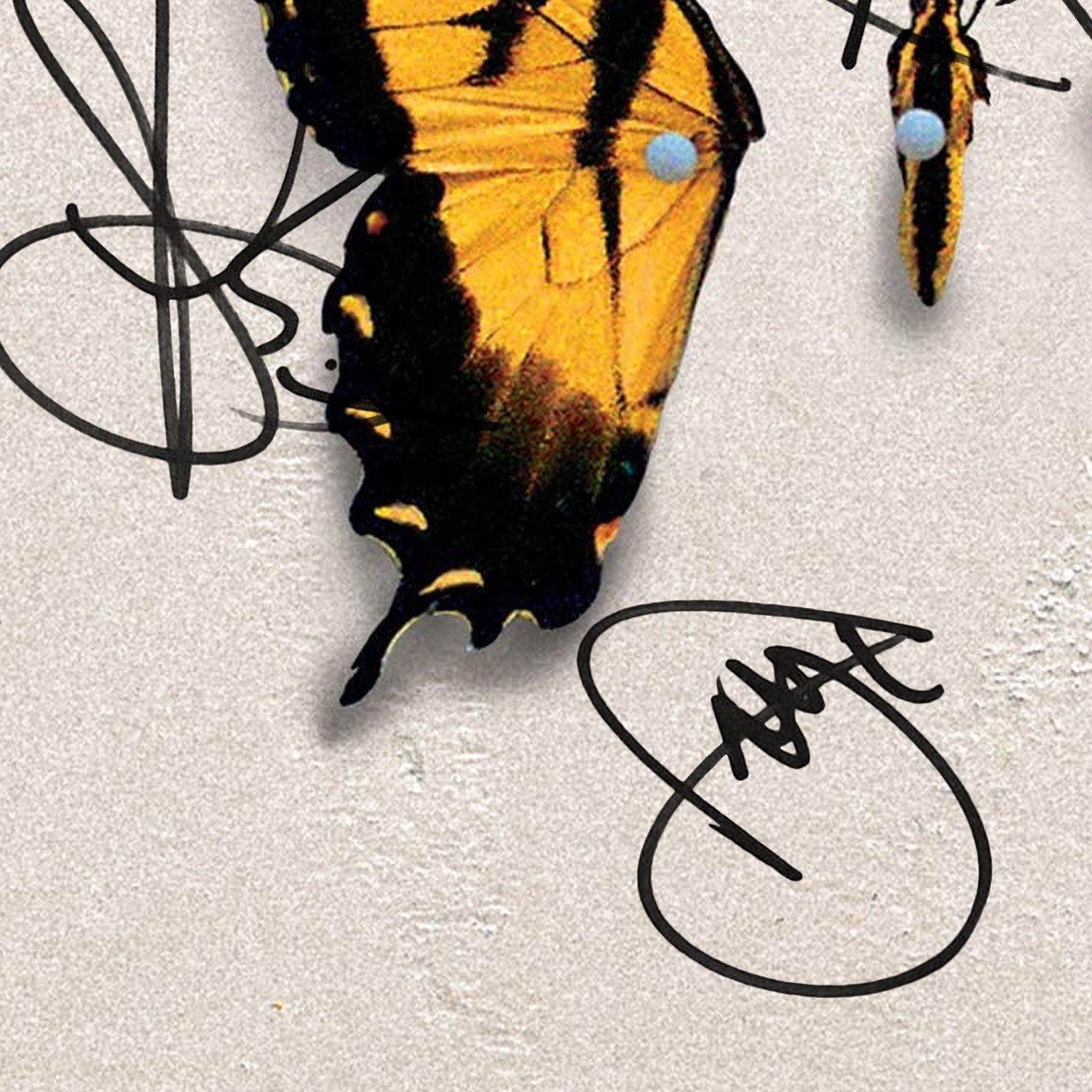 Paramore Brand New Eyes Gold LP Limited Signature Edition Custom